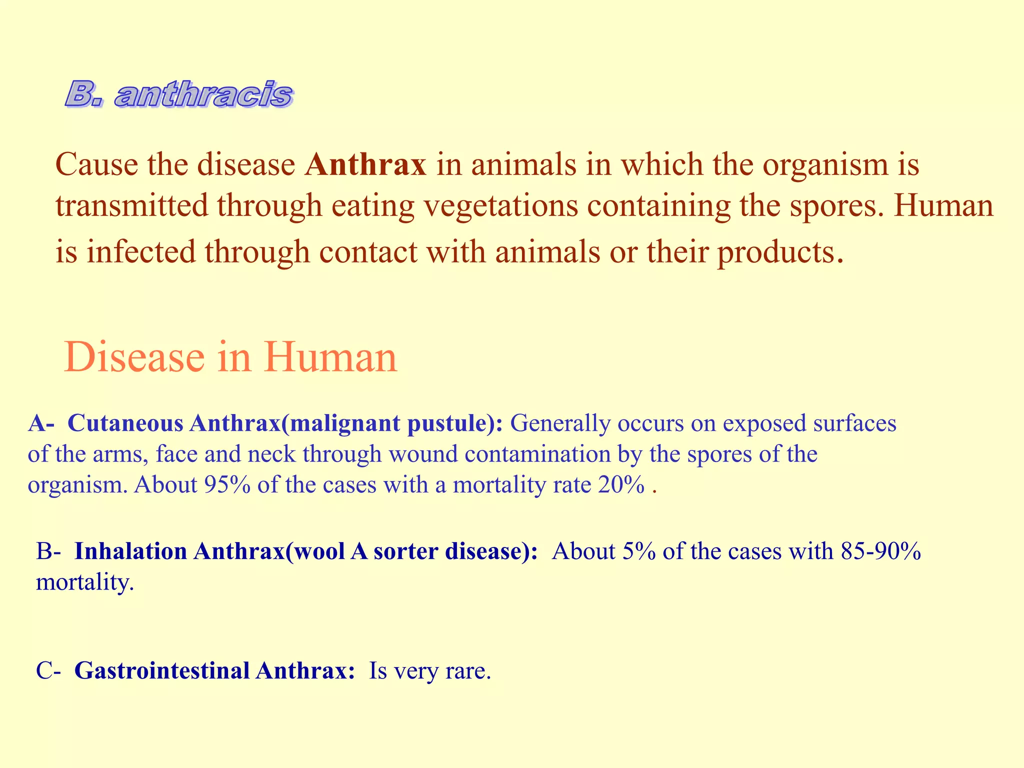 Cause the disease Anthrax in animals in which the organism is
transmitted through eating vegetations containing the spores. Human
is infected through contact with animals or their products.

Disease in Human
A- Cutaneous Anthrax(malignant pustule): Generally occurs on exposed surfaces
of the arms, face and neck through wound contamination by the spores of the
organism. About 95% of the cases with a mortality rate 20% .
B- Inhalation Anthrax(wool A sorter disease): About 5% of the cases with 85-90%
mortality.

C- Gastrointestinal Anthrax: Is very rare.

 