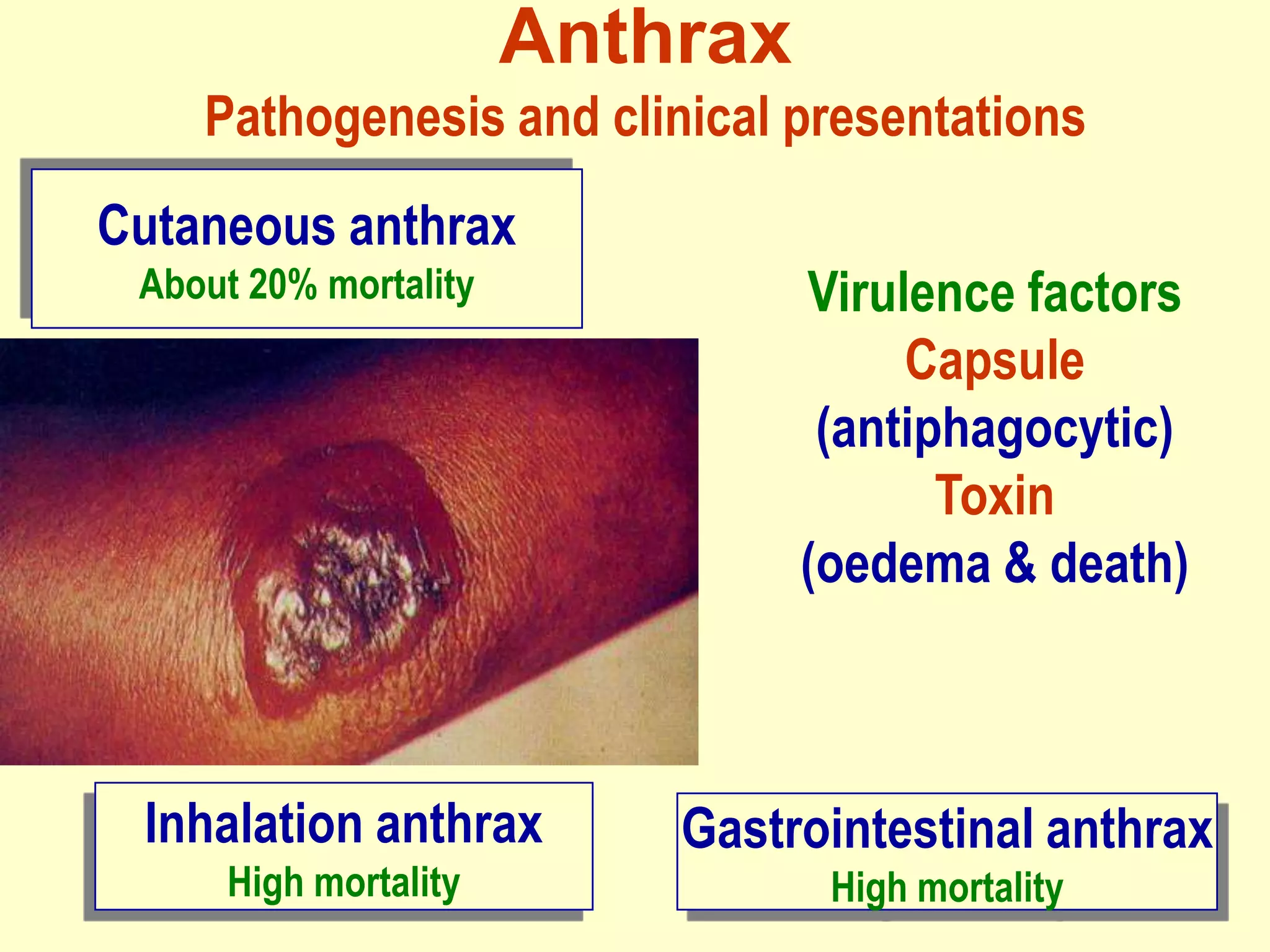 Anthrax
Pathogenesis and clinical presentations
Cutaneous anthrax
About 20% mortality

Inhalation anthrax
High mortality

Virulence factors
Capsule
(antiphagocytic)
Toxin
(oedema & death)

Gastrointestinal anthrax
High mortality

 