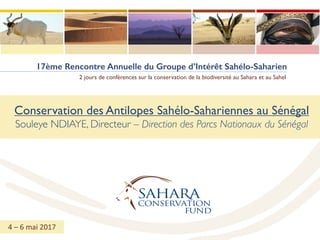 17ème Rencontre Annuelle du Groupe d’Intérêt Sahélo-Saharien
2 jours de conférences sur la conservation de la biodiversité au Sahara et au Sahel
Conservation des Antilopes Sahélo-Sahariennes au Sénégal
Souleye NDIAYE, Directeur – Direction des Parcs Nationaux du Sénégal
4	– 6	mai	2017
 