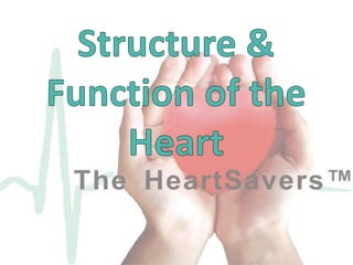 Structure and function of the Heart