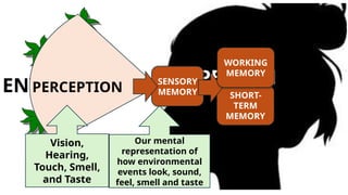 PERSON
ENVIRONMENT P
PERCEPTION
SENSORY
MEMORY SHORT-
TERM
MEMORY
Our mental
representation of
how environmental
events look, sound,
feel, smell and taste
WORKING
MEMORY
Vision,
Hearing,
Touch, Smell,
and Taste
 