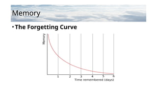 Memory
•The Forgetting Curve
 