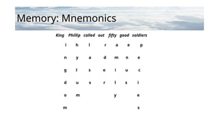 Memory: Mnemonics
King Phillip called out fifty good soldiers
i h l r a e p
n y a d m n e
g l s e i u c
d u s r l s i
o m y e
m s
 