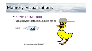 Memory: Visualizations
 KEYWORD METHOD
Spanish word: patio (pronounced pot-o)
patio
duck (meaning of patio)
pot
 