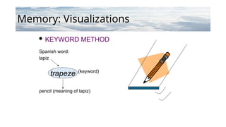 Memory: Visualizations
 KEYWORD METHOD
Spanish word:
lapiz
(keyword)
pencil (meaning of lapiz)
trapeze
 
