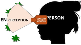 PERSON
ENVIRONMENT P
PERCEPTION
SENSORY
MEMORY
 