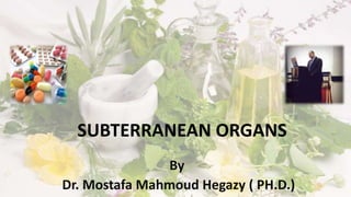 SUBTERRANEAN ORGANS
By
Dr. Mostafa Mahmoud Hegazy ( PH.D.)
 