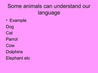 Animal Super Senses Lesson 1 Interesting | PPT