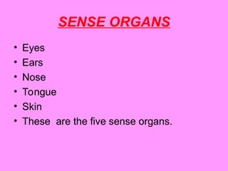 Animal Super Senses Lesson 1 Interesting | PPT