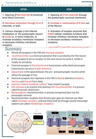 ● Almost all synapses in the CNS are chemical synapses
● neurotransmitter is a chemical substance that is secreted by the first neuron
at the synapse to act on receptor on the next neuron to excite it, inhibit or
modify its sensitivity
● Chemical synapse is One directional in transmission while electrical synapse
transmission can occur in both directions .
● Gap junction is the space between the pre- and postsynaptic neurons which
allows the passage of ions
● Electrical synapses Are important in the CNS in Mental attention,Emotions,
memory and Arousal from sleep.
● neurons in lateral vestibular nucleus1 have conjoint synapse
● Ach esterase is an enzyme that destroys Ach neurotransmitter in a process
called Enzymatic destruction
● Norepinephrine neurotransmitter is actively transported back into the
presynaptic terminal.
● Neurotransmitter receptors that directly open gate ion channels are often
called ionotropic receptors, whereas those that act through second messenger
systems are called metabotropic receptors.2
Summary
1 2
EPSPs IPSP
1- Opening of Na channels to threshold
level (Most Common).
1- Opening of Cl ion channels through
the postsynaptic neuronal membrane.
2- Decrease conduction through Cl or K
channels, or both.
2- Increase in conductance of K ions out
of the Neuron
3- Various changes in the internal
metabolism of the postsynaptic neuron
to excite or, in some instances, to
Increase excitatory membrane receptors
or decrease inhibitory membrane
receptors
3- Activation of receptor enzymes that
inhibit cellular metabolic functions that
increase inhibitory membrane receptors
or decrease excitatory membrane
receptors.
***
‫ممكن‬
‫يجي‬
‫وحدة‬
‫من‬
‫خصائص‬
EPSP
‫أو‬
‫خصائص‬
‫الـ‬
IPSP
‫ويلخبط‬
‫بينهم‬
12
Important points you should focus on:
 