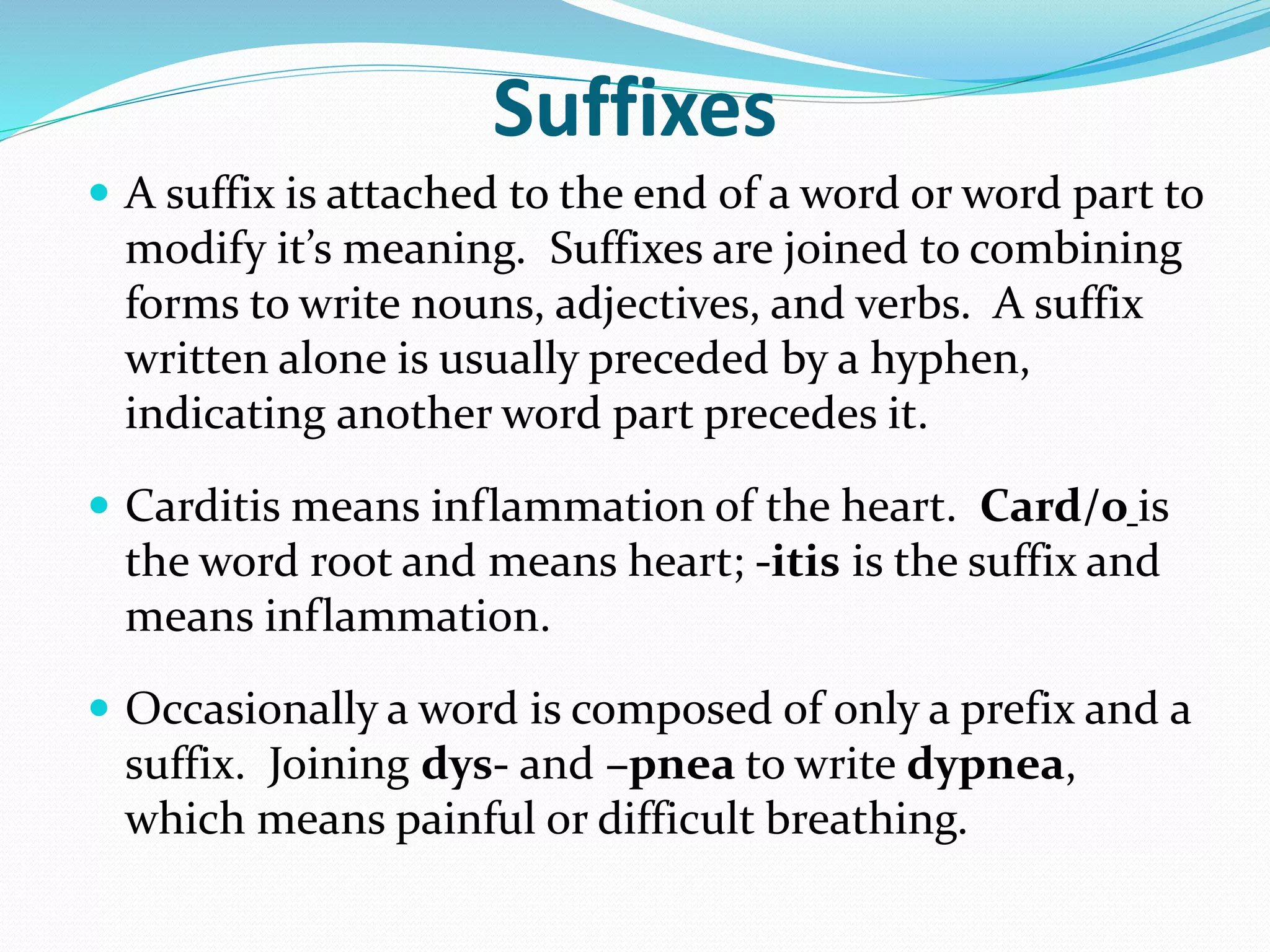 Terminology Basics | PPTX