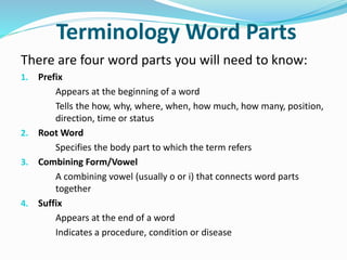 Terminology Word Parts
There are four word parts you will need to know:
1. Prefix
Appears at the beginning of a word
Tells the how, why, where, when, how much, how many, position,
direction, time or status
2. Root Word
Specifies the body part to which the term refers
3. Combining Form/Vowel
A combining vowel (usually o or i) that connects word parts
together
4. Suffix
Appears at the end of a word
Indicates a procedure, condition or disease
 