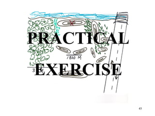 PRACTICAL
EXERCISE

            45
 