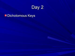 Day 2
Dichotomous Keys

 