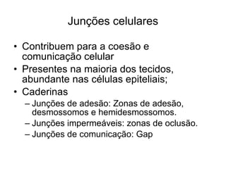 Junções celulares Contribuem para a coesão e comunicação celular Presentes na maioria dos tecidos, abundante nas células epiteliais; Caderinas Junções de adesão: Zonas de adesão, desmossomos e hemidesmossomos. Junções impermeáveis: zonas de oclusão. Junções de comunicação: Gap 