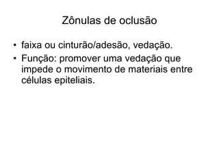 Zônulas de oclusão faixa ou cinturão/adesão, vedação. Função: promover uma vedação que impede o movimento de materiais entre células epiteliais. 