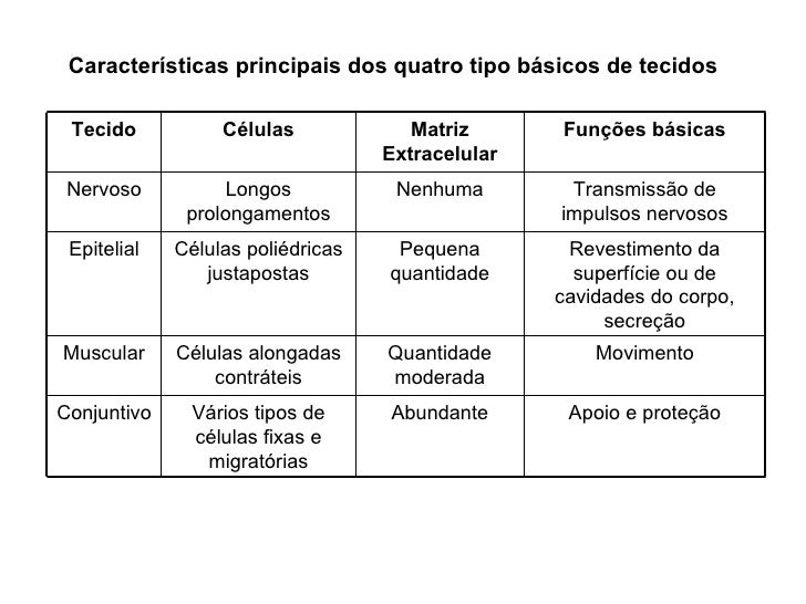 Quais Eram As Principais Características De Cada Um Deles