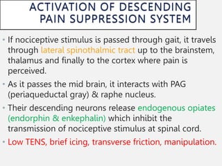 • If nociceptive stimulus is passed through gait, it travels
through lateral spinothalmic tract up to the brainstem,
thalamus and finally to the cortex where pain is
perceived.
• As it passes the mid brain, it interacts with PAG
(periaqueductal gray) & raphe nucleus.
• Their descending neurons release endogenous opiates
(endorphin & enkephalin) which inhibit the
transmission of nociceptive stimulus at spinal cord.
• Low TENS, brief icing, transverse friction, manipulation.
 