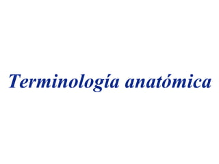 Terminología anatómica
 