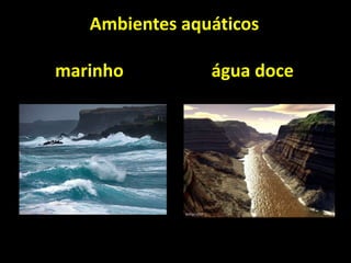 Ambientes aquáticos

marinho         água doce
 