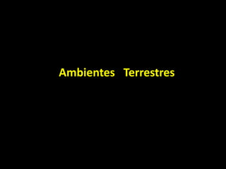 Ambientes Terrestres
 