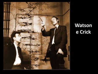 Watson
e Crick
 