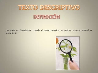 Un texto es descriptivo, cuando el autor describe un objeto, persona, animal o
sentimiento.
 