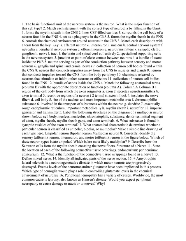 1 The basic functional unit of the nervous system is the neuron What.docx