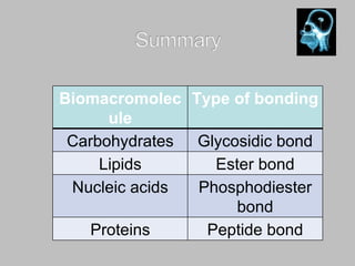 1 - The Chemical Nature of Cells | PPT