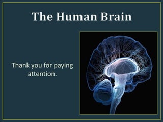 Thank you for paying
attention.
 