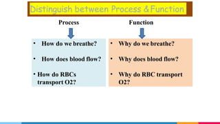 Introduction of physiology-1 | PPTX