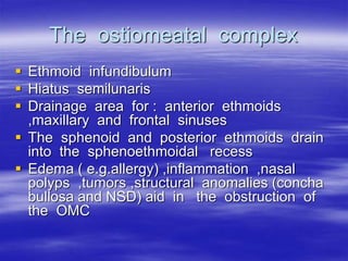 Omc Complex The Nose and Paranasal Sinuses | PPT