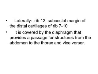 THE RIB CAGE-ANATOMY OF THE HUMAN BODY. DEPARTMENT OF ANATOMY | PPT