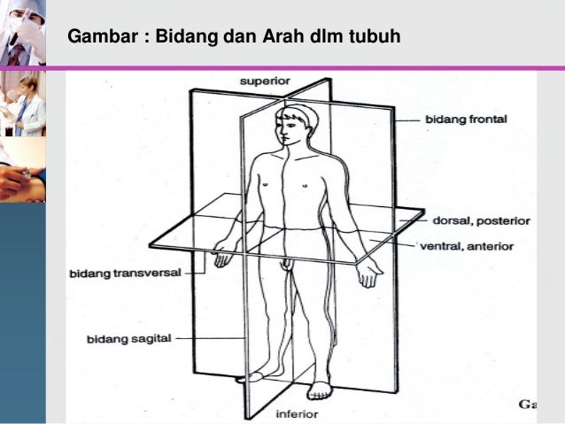 1 Tinjauan Anfis