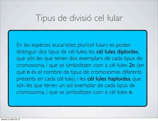 Tipus de divisió cel·lular

                   En les espècies eucariotes pluricel·lulars es poden
                   distinguir dos tipus de cèl·lules: les cèl·lules diploides,
                   que són les que tenen dos exemplars de cada tipus de
                   cromosoma, i que se simbolitzen com a cèl·lules 2n (en
                   què n és el nombre de tipus de cromosomes diferents
                   presents en cada cèl·lula), i les cèl·lules haploides, que
                   són les que tenen un sol exemplar de cada tipus de
                   cromosoma, i que se simbolitzen com a cèl·lules n.



dimarts 2 d’abril de 13
 