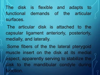 Temporomandibular joint anatomy and function | PPTX