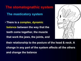 The stomatognathic system
• There is a complex, dynamic
balance between the way that the
teeth come together, the muscle
that work the jaws, the joints, and
their relationship to the posture of the head & neck. A
change in any part of the system affects all the others
and change the balance
The masticatory system
 