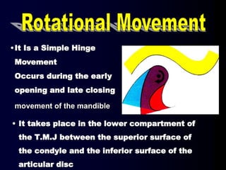 • It takes place in the lower compartment of
the T.M.J between the superior surface of
the condyle and the inferior surface of the
articular disc
•It Is a Simple Hinge
Movement
Occurs during the early
opening and late closing
movement of the mandible
 