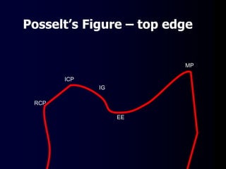 Posselt’s Figure – top edge
RCP
ICP
IG
EE
MP
 