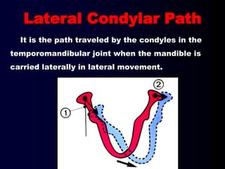 It is the path traveled by the condyles in the
temporomandibular joint when the mandible is
carried laterally in lateral movement.
Lateral Condylar Path
 