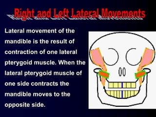 Lateral movement of the
mandible is the result of
contraction of one lateral
pterygoid muscle. When the
lateral pterygoid muscle of
one side contracts the
mandible moves to the
opposite side.
 