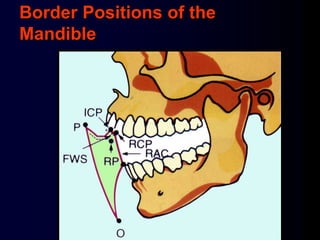Border Positions of the
Mandible
 