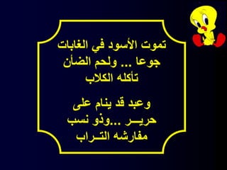 ‫الغابات‬ ‫في‬ ‫األسود‬ ‫تموت‬
‫جوعا‬...‫الضأن‬ ‫ولحم‬
‫الكالب‬ ‫تأكله‬
‫على‬ ‫ينام‬ ‫قد‬ ‫وعبد‬
‫حريـــر‬...‫نسب‬ ‫وذو‬
‫التــراب‬ ‫مفارشه‬
 