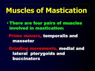 Muscles of Mastication
• There are four pairs of muscles
involved in mastication:
Prime movers, temporalis and
masseter
Grinding movements, medial and
lateral pterygoids and
buccinators
 