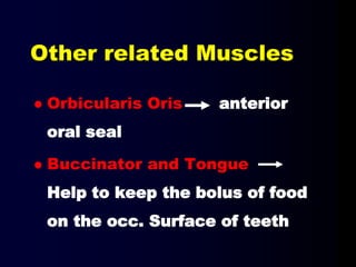 Other related Muscles
 Orbicularis Oris anterior
oral seal
 Buccinator and Tongue
Help to keep the bolus of food
on the occ. Surface of teeth
 