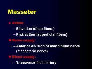 Masseter
 Action:
– Elevation (deep fibers)
– Protraction (superficial fibers)
 Nerve supply:
– Anterior division of mandibular nerve
(masseteric nerve)
 Blood supply:
– Transverse facial artery
 
