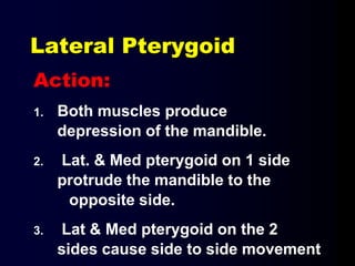 Lateral Pterygoid
Action:
1. Both muscles produce
depression of the mandible.
2. Lat. & Med pterygoid on 1 side
protrude the mandible to the
opposite side.
3. Lat & Med pterygoid on the 2
sides cause side to side movement
 
