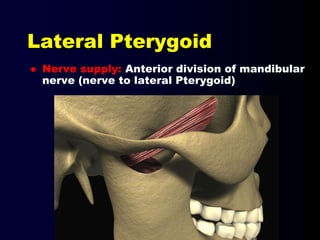 Lateral Pterygoid
 Nerve supply: Anterior division of mandibular
nerve (nerve to lateral Pterygoid)
 