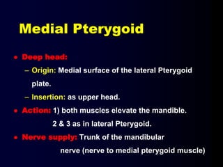 Medial Pterygoid
 Deep head:
– Origin: Medial surface of the lateral Pterygoid
plate.
– Insertion: as upper head.
 Action: 1) both muscles elevate the mandible.
2 & 3 as in lateral Pterygoid.
 Nerve supply: Trunk of the mandibular
nerve (nerve to medial pterygoid muscle)
 