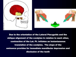Due to the orientation of the Lateral Pterygoids and the
oblique alignment of the condyles in relation to each other,
contraction of the Lat. Pt. initiates an instantaneous
translation of the condyles. The slope of the
eminence provides for immediate mandibular depression and
disclusion of the teeth
 